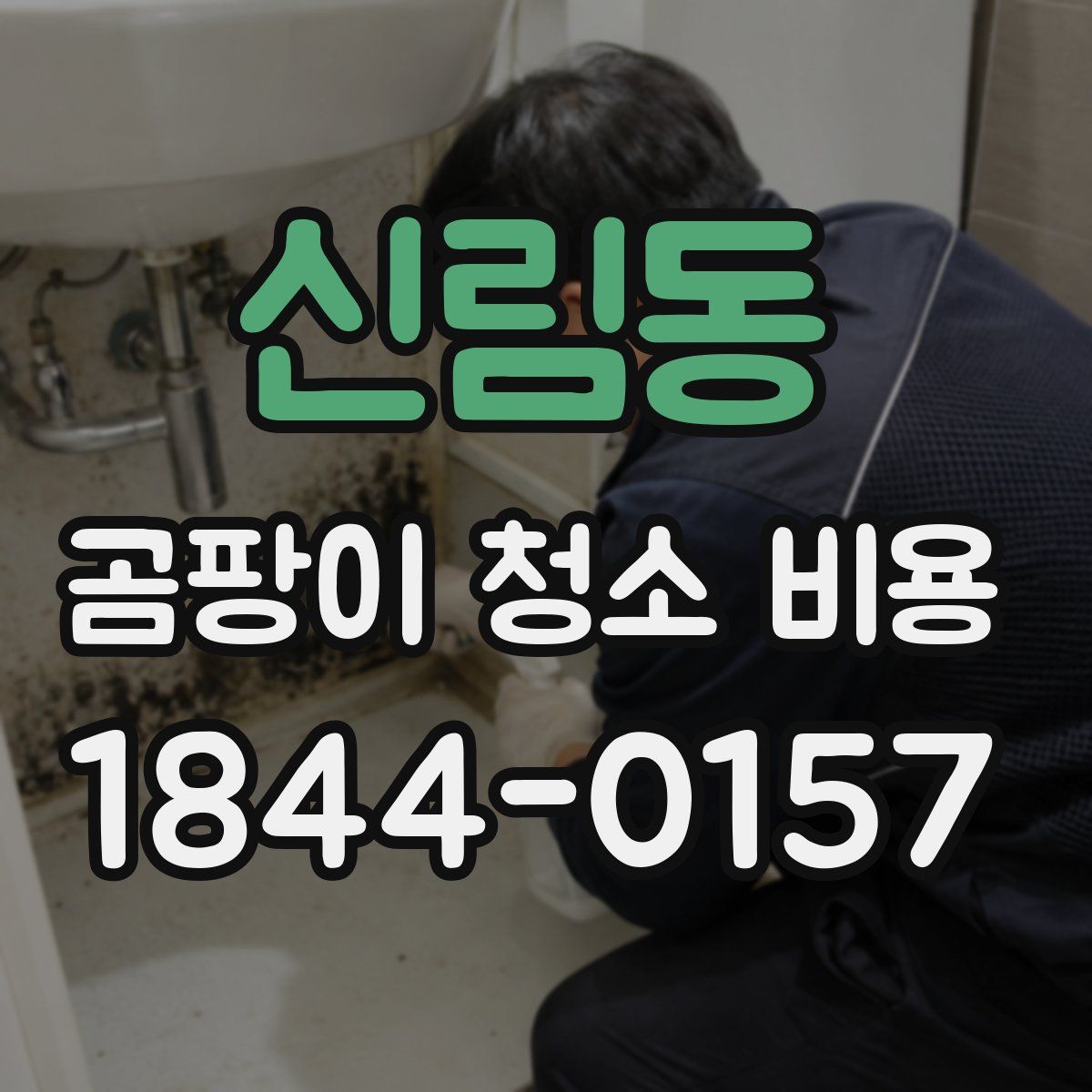 신림동 곰팡이 청소 비용