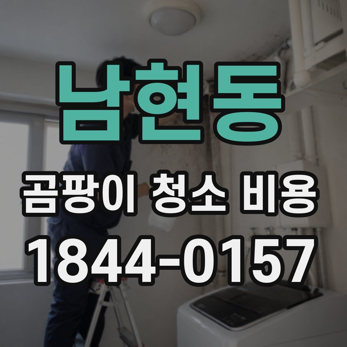 남현동 곰팡이 청소 비용