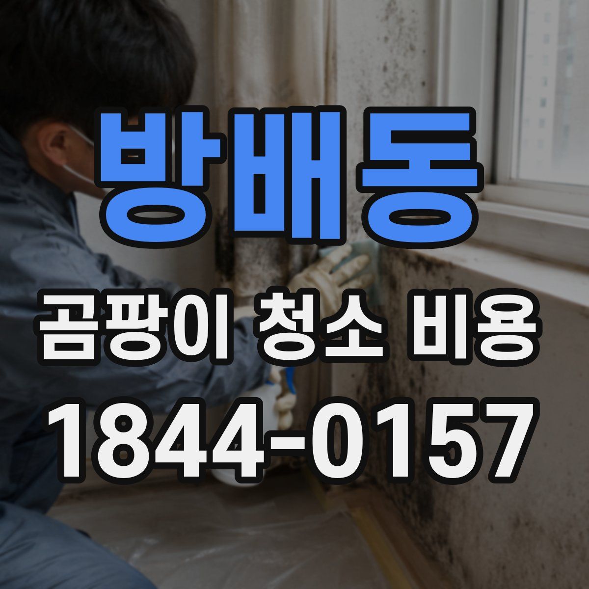방배동 곰팡이 청소 비용