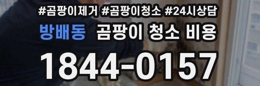 방배동 곰팡이 청소 비용