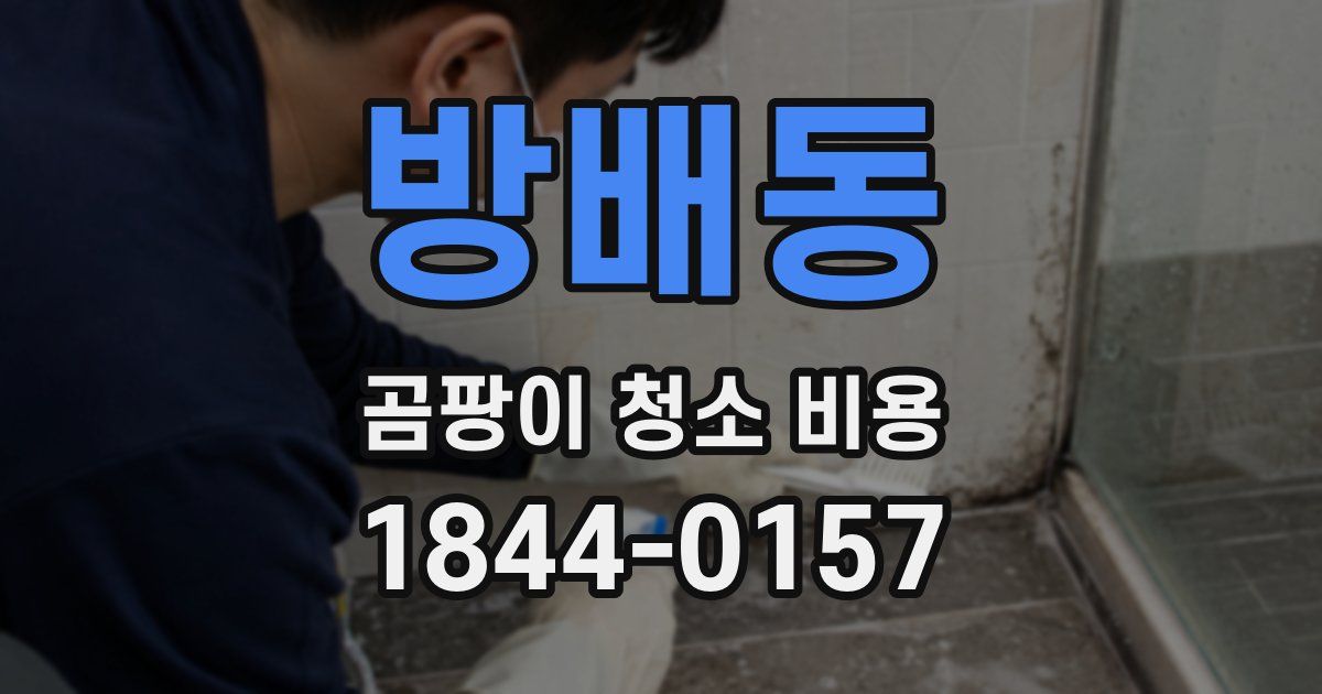 방배동 곰팡이 청소 비용