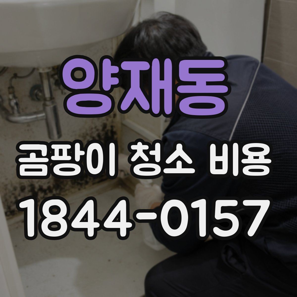 양재동 곰팡이 청소 비용 세입자와 집주인 분담은 어떻게 나뉠까