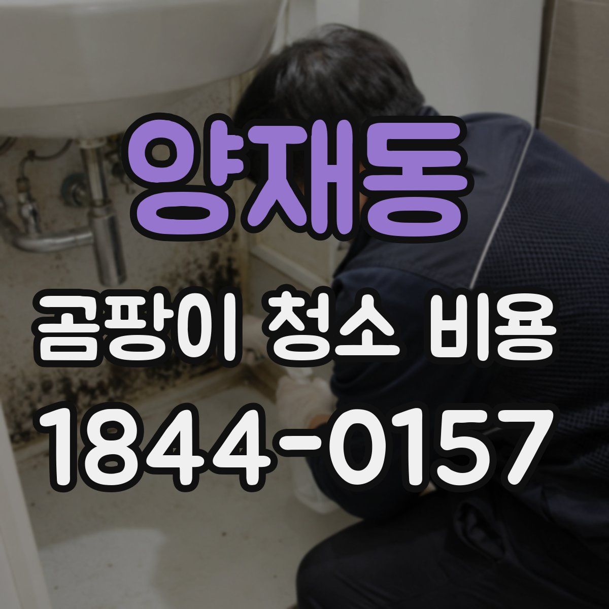 양재동 곰팡이 청소 비용
