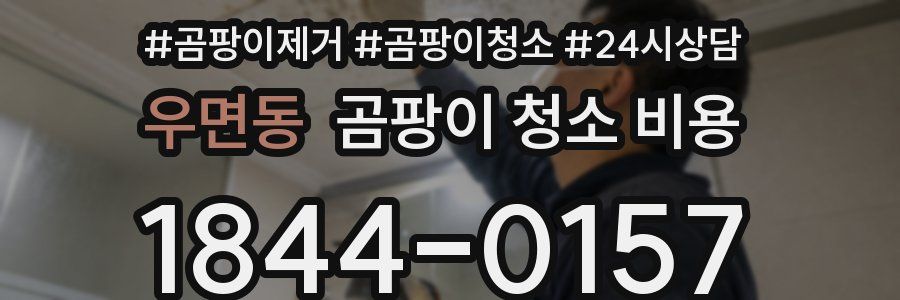 우면동 곰팡이 청소 비용