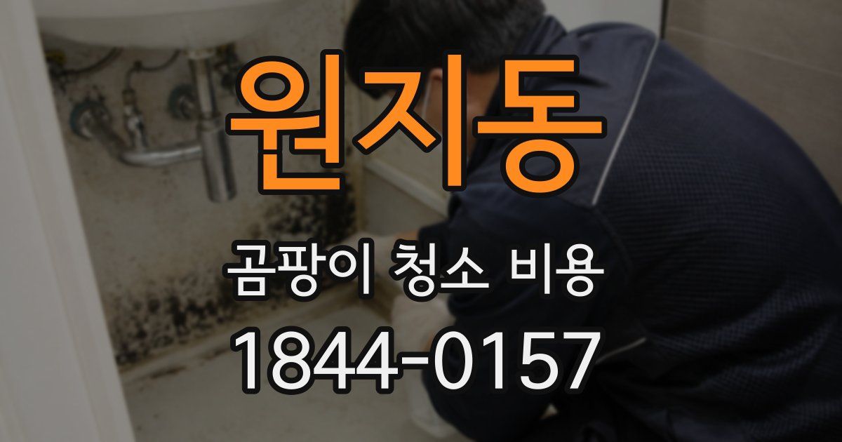 원지동 곰팡이 청소 비용