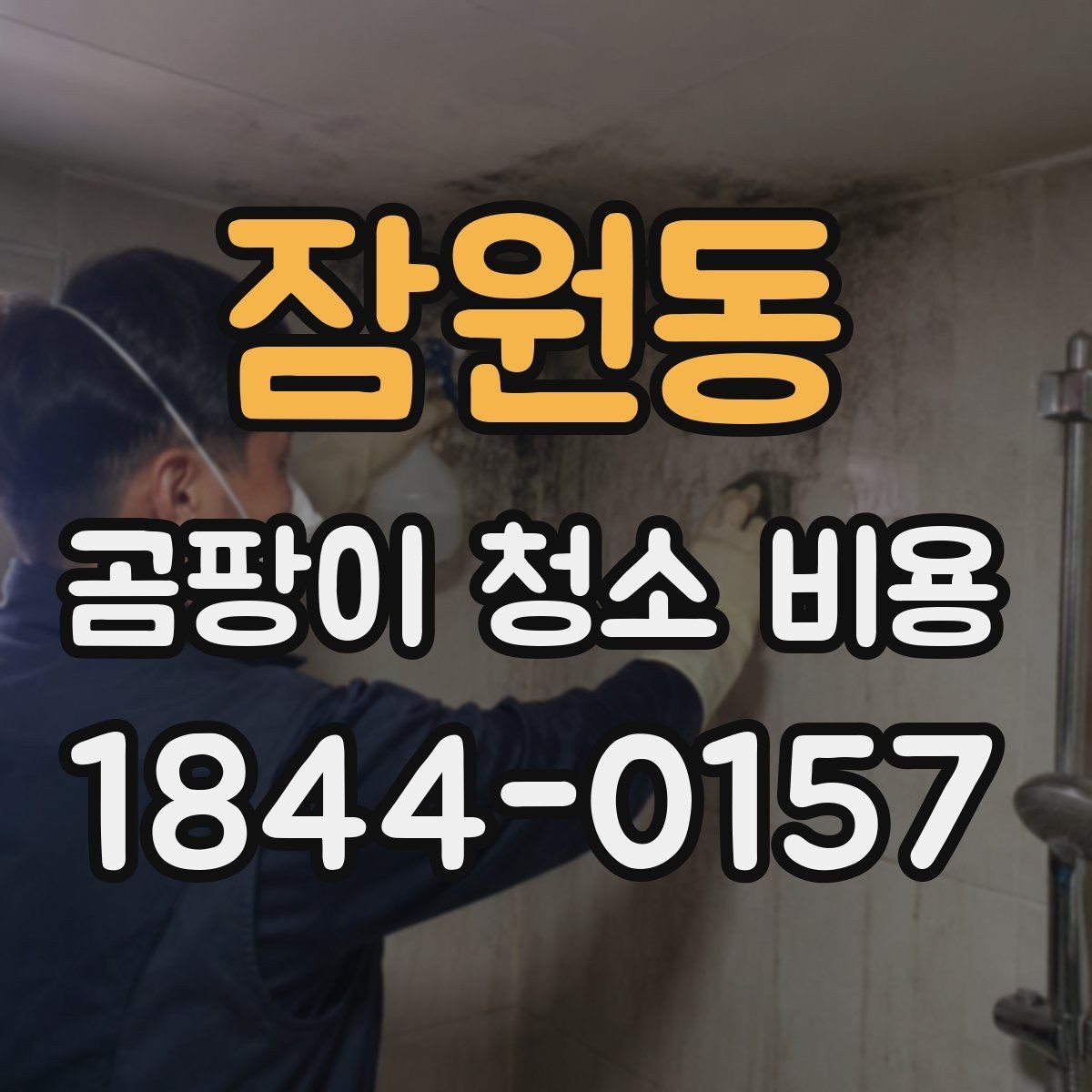 잠원동 곰팡이 청소 비용 천장과 몰딩 주변이 더 손이 가는 경우