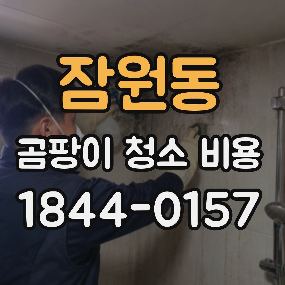 잠원동 곰팡이 청소 비용