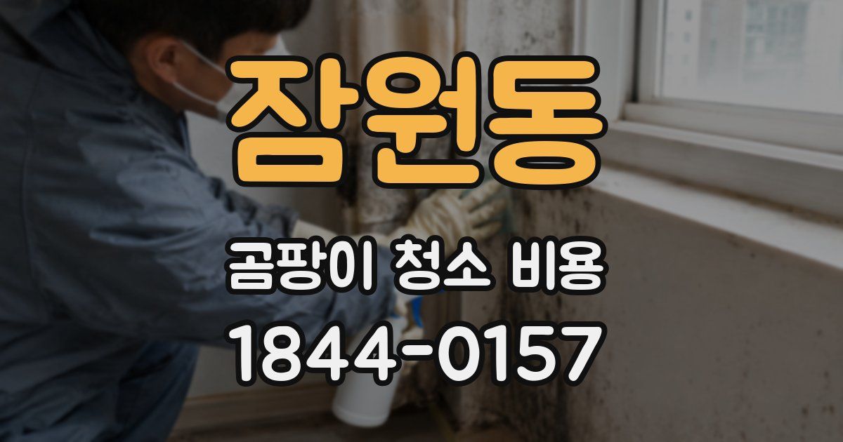 잠원동 곰팡이 청소 비용