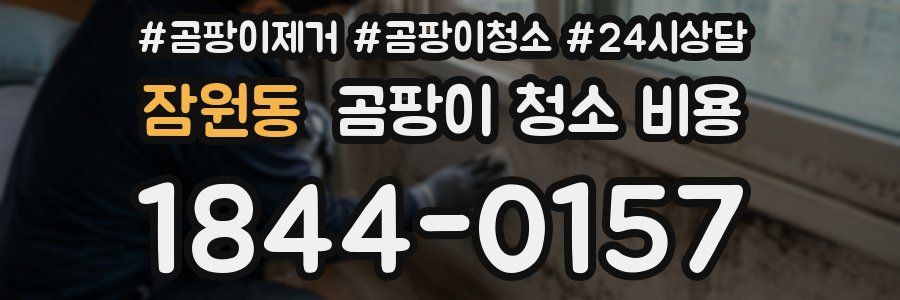 잠원동 곰팡이 청소 비용