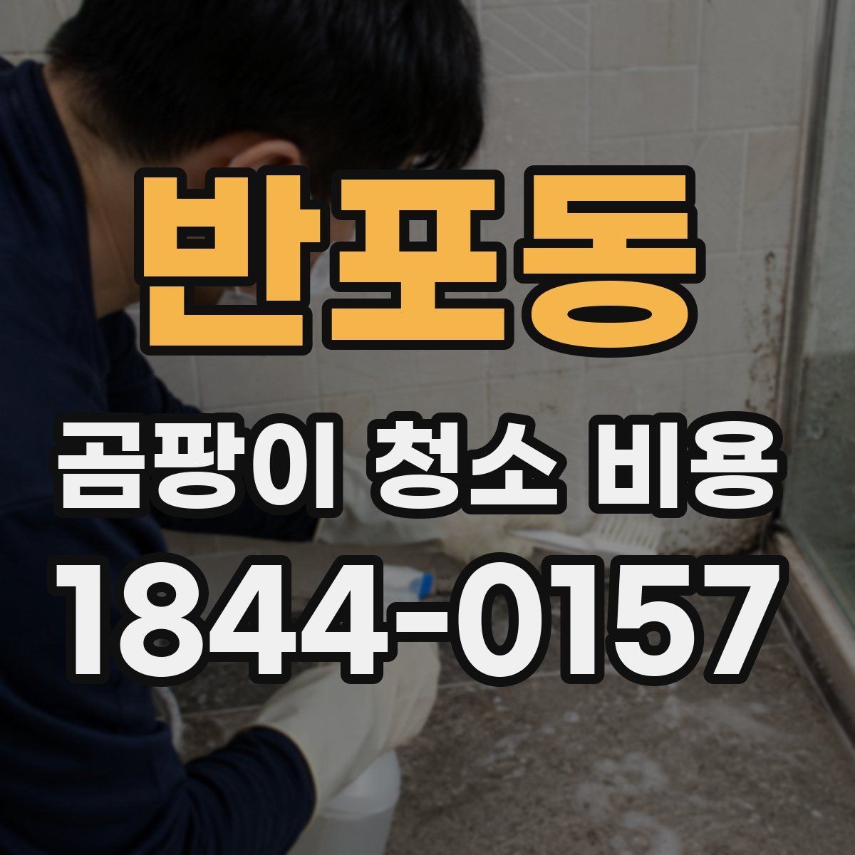 반포동 곰팡이 청소 비용 전체 청소로 넘어가는 경우