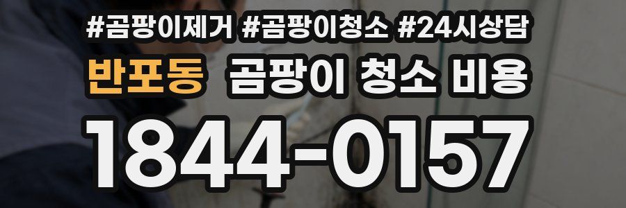 반포동 곰팡이 청소 비용