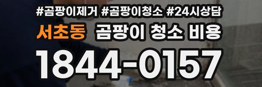 서초동 곰팡이 청소 비용