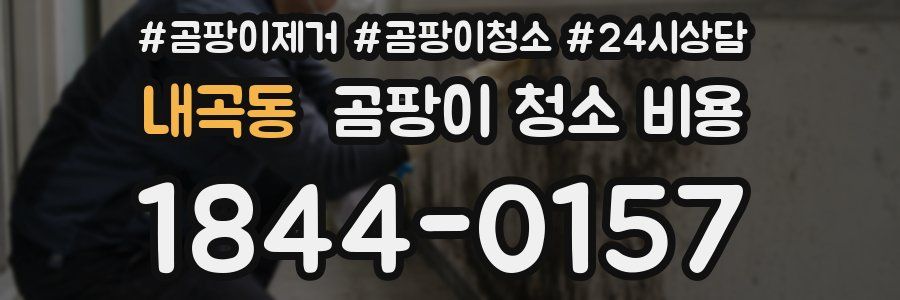 내곡동 곰팡이 청소 비용