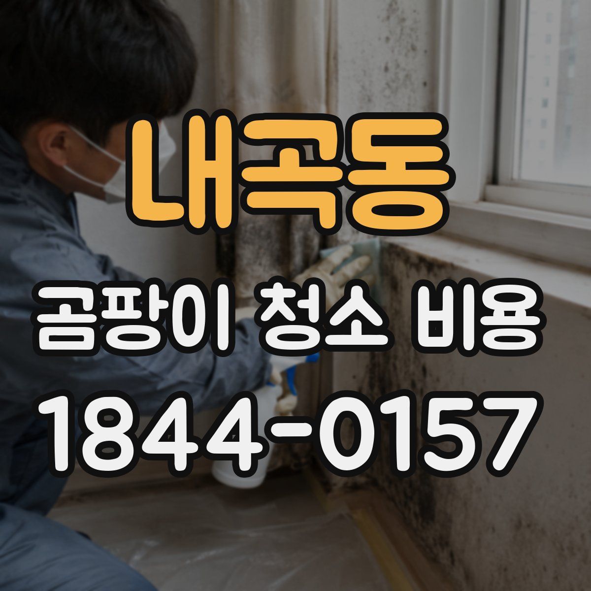 내곡동 곰팡이 청소 비용