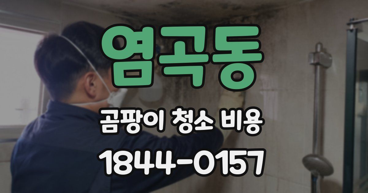 염곡동 곰팡이 청소 비용