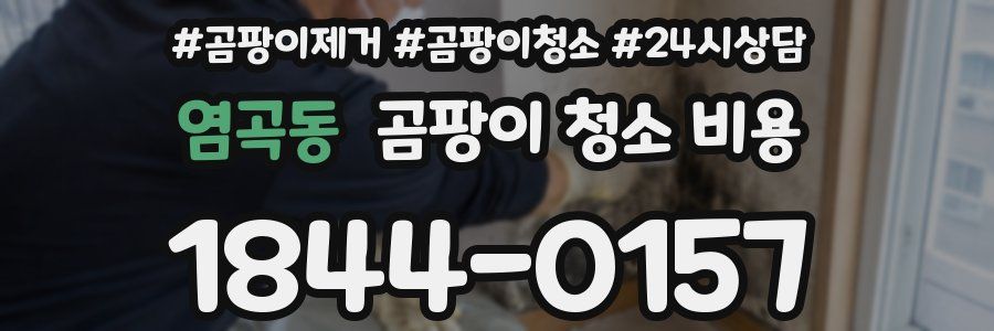 염곡동 곰팡이 청소 비용