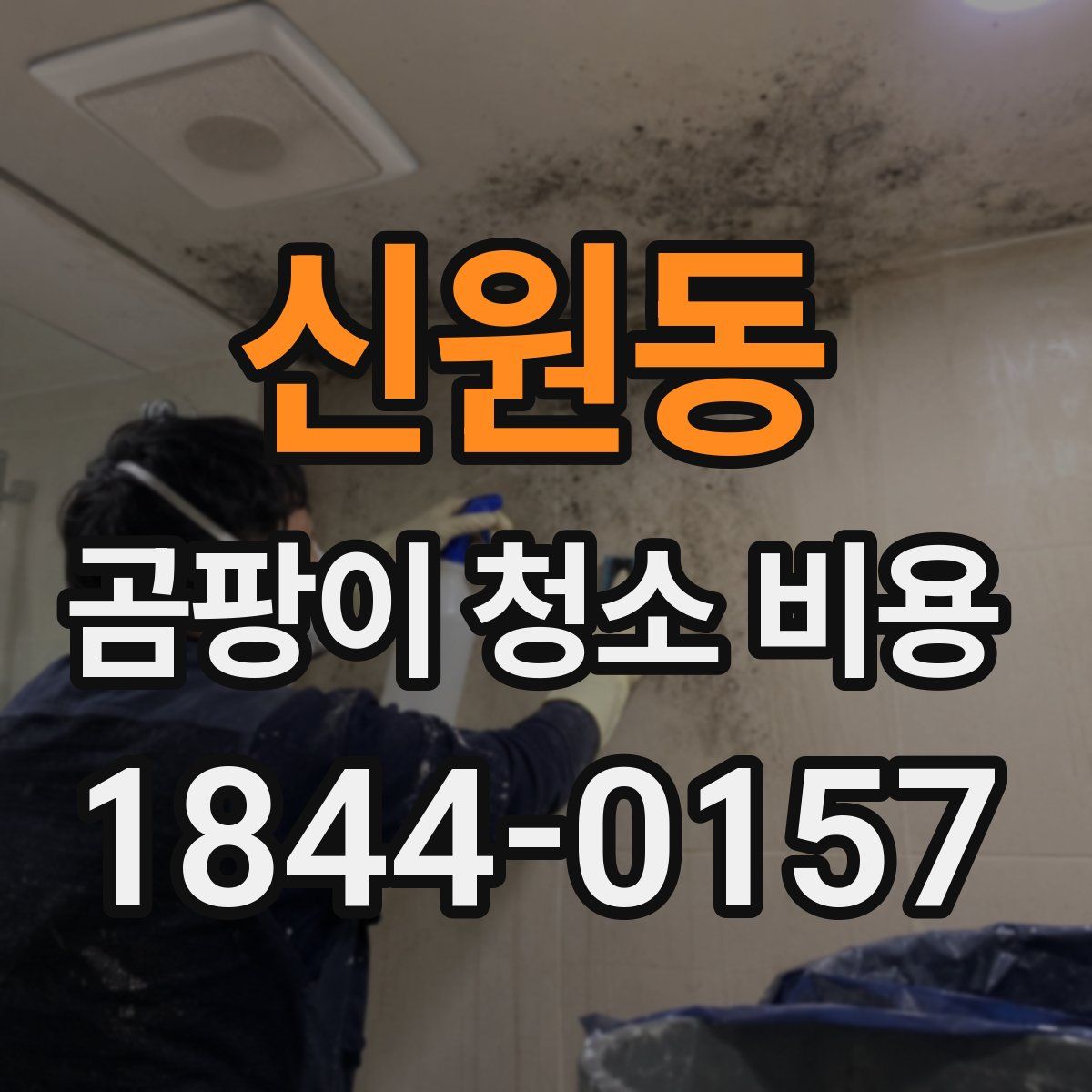 신원동 곰팡이 청소 비용