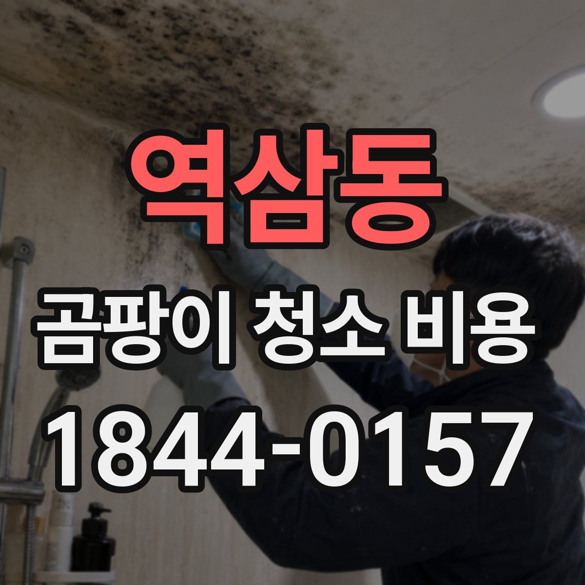 역삼동 곰팡이 청소 비용