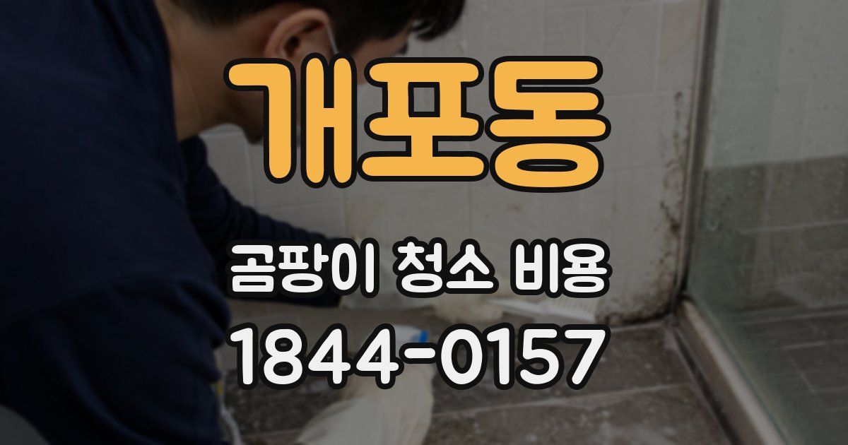 개포동 곰팡이 청소 비용