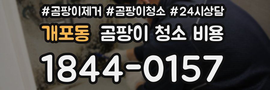 개포동 곰팡이 청소 비용