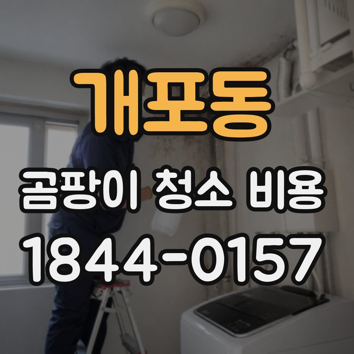 개포동 곰팡이 청소 비용