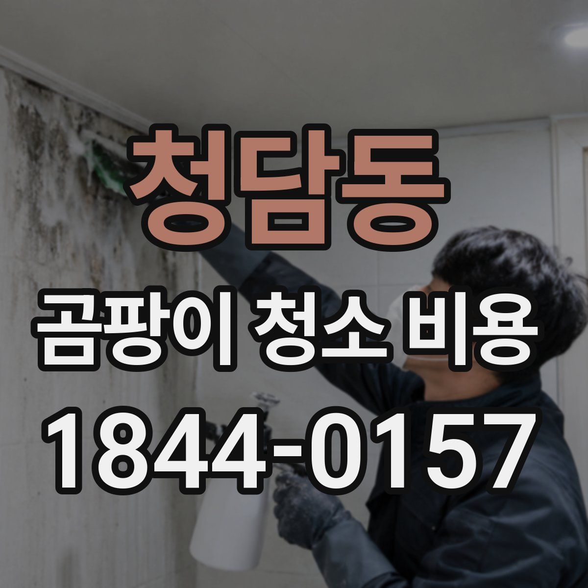 청담동 곰팡이 청소 비용
