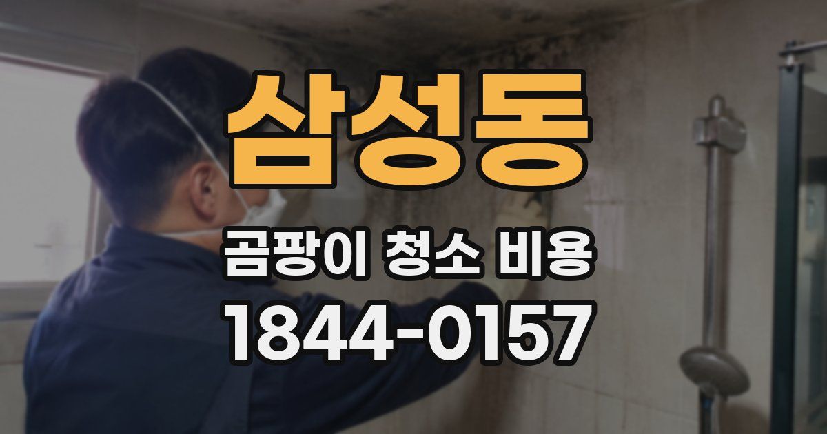 삼성동 곰팡이 청소 비용