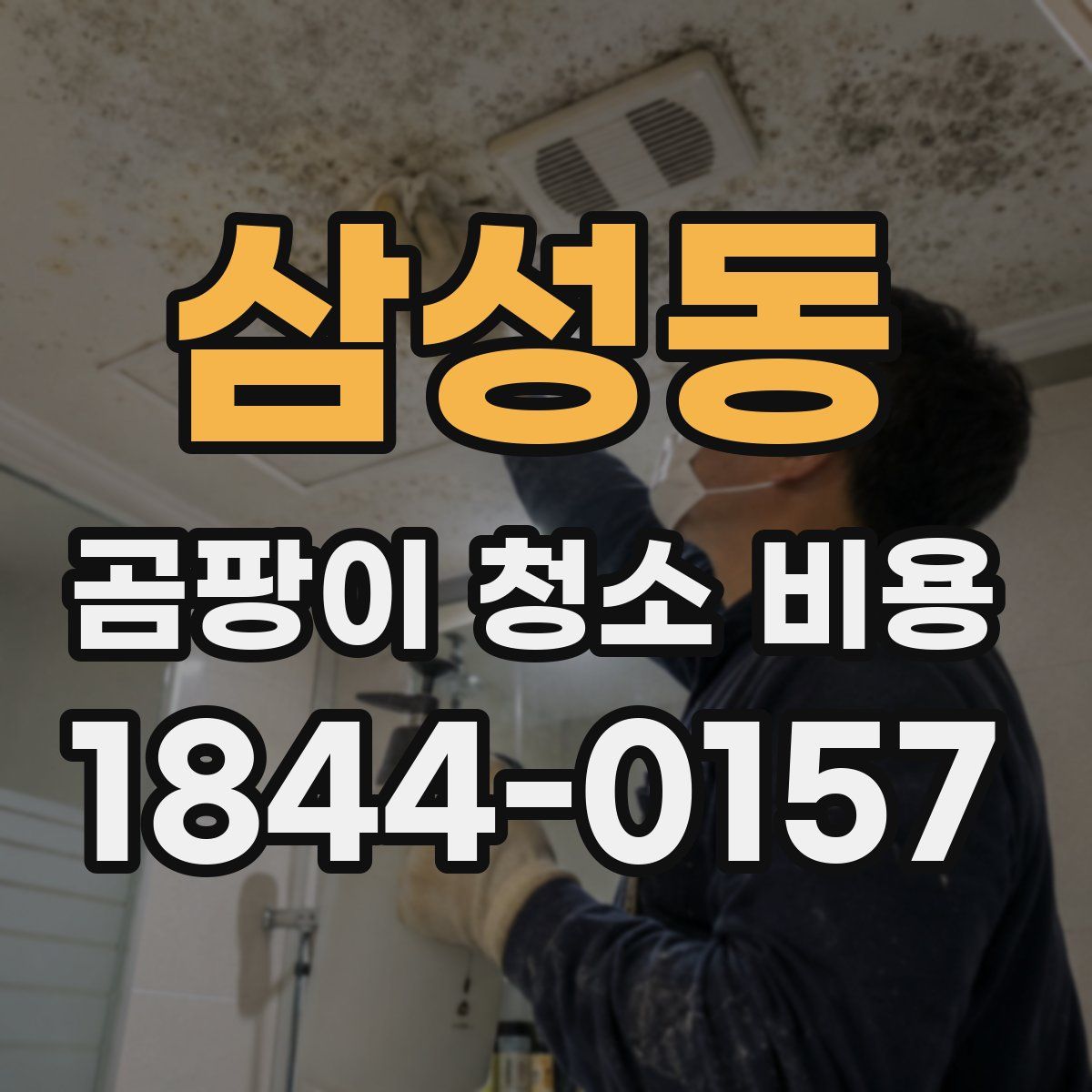 삼성동 곰팡이 청소 비용
