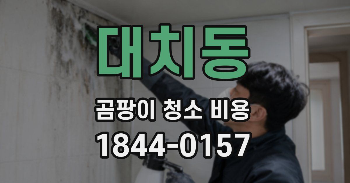 대치동 곰팡이 청소 비용