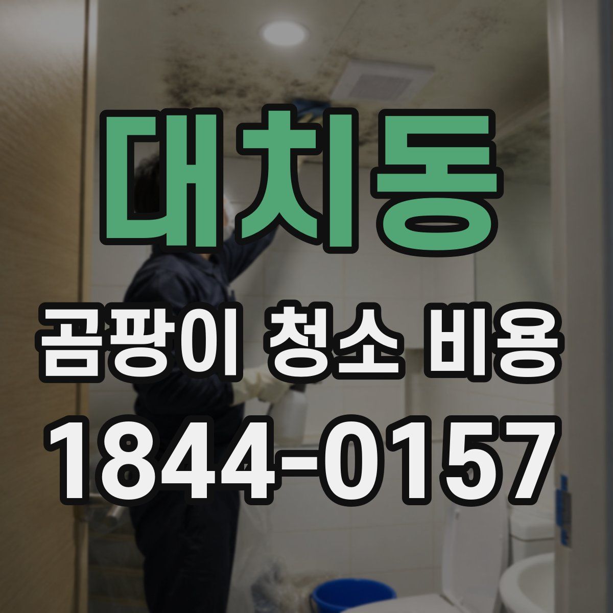 대치동 곰팡이 청소 비용