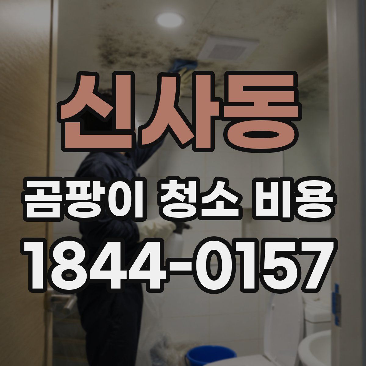 신사동 곰팡이 청소 비용