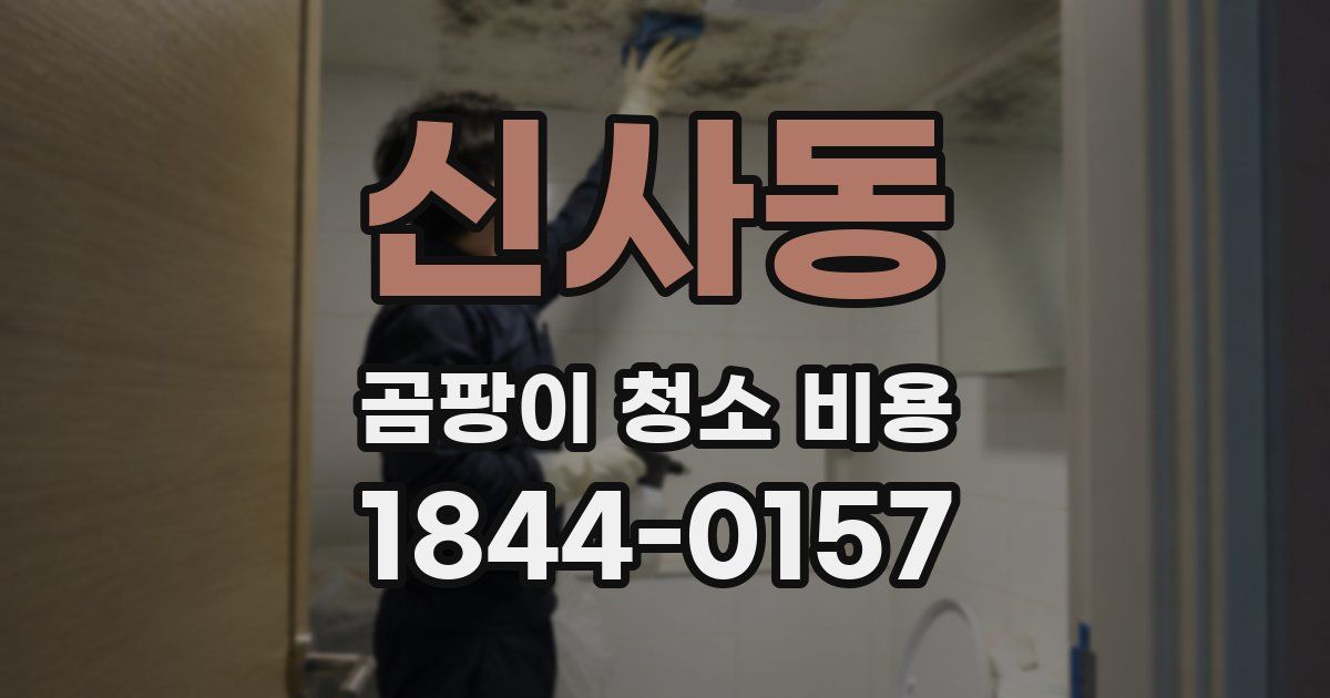 신사동 곰팡이 청소 비용