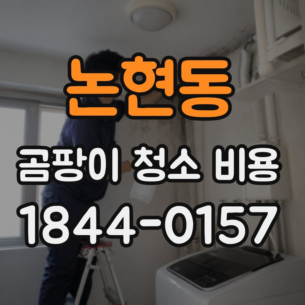 논현동 곰팡이 청소 비용