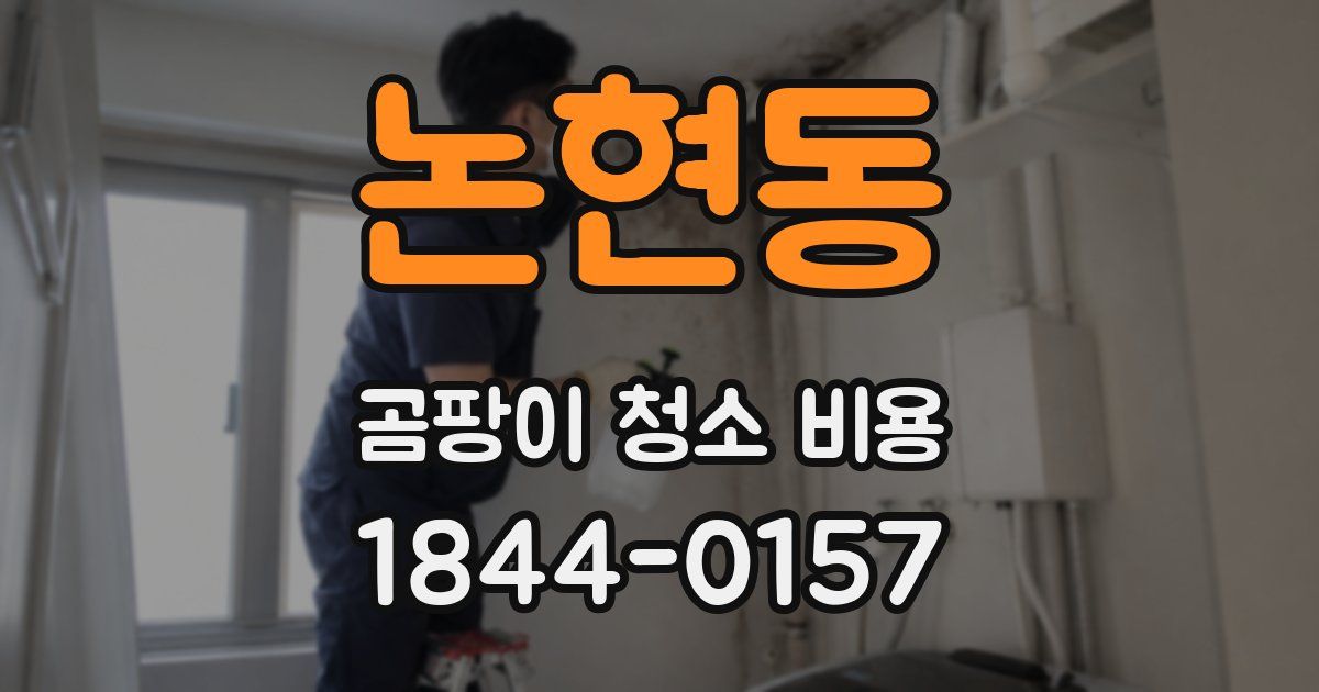 논현동 곰팡이 청소 비용