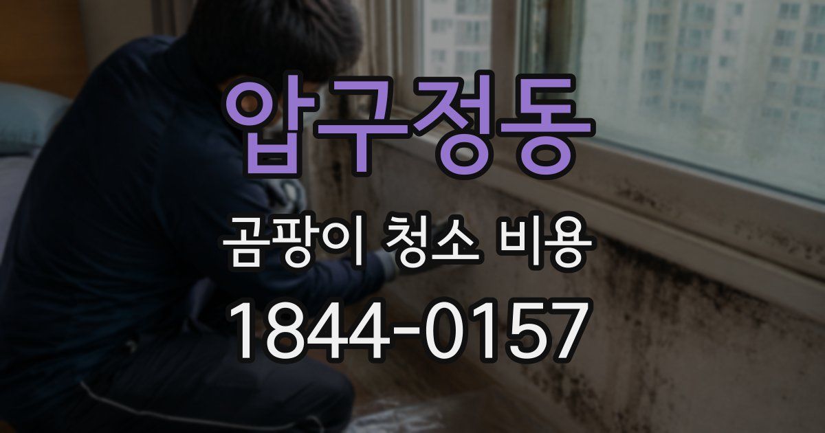 압구정동 곰팡이 청소 비용