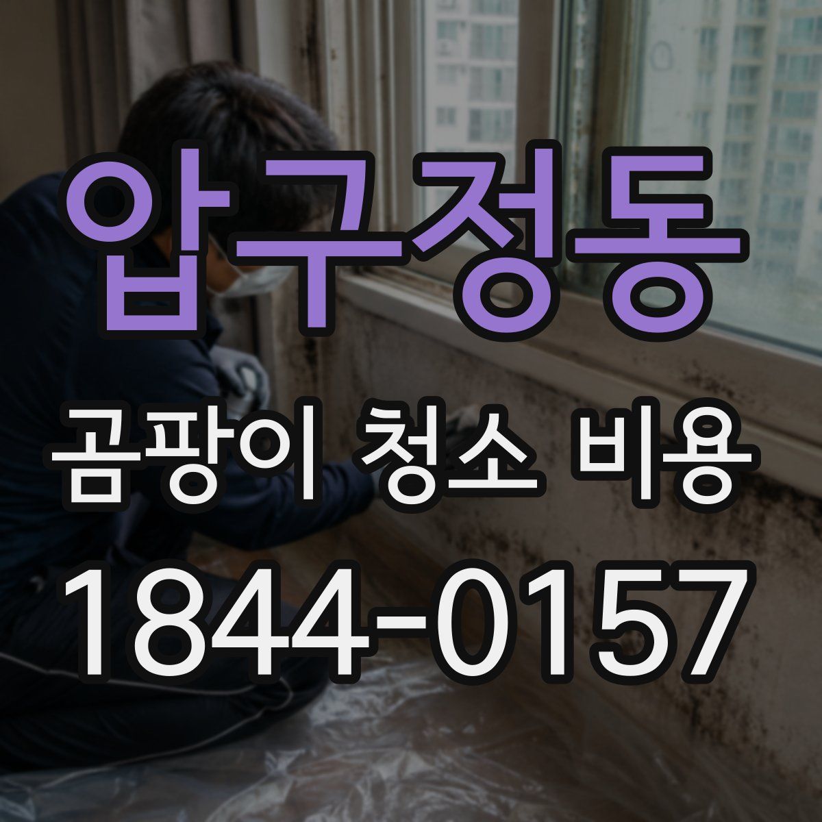 압구정동 곰팡이 청소 비용