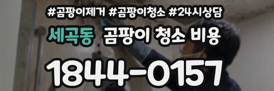 세곡동 곰팡이 청소 비용
