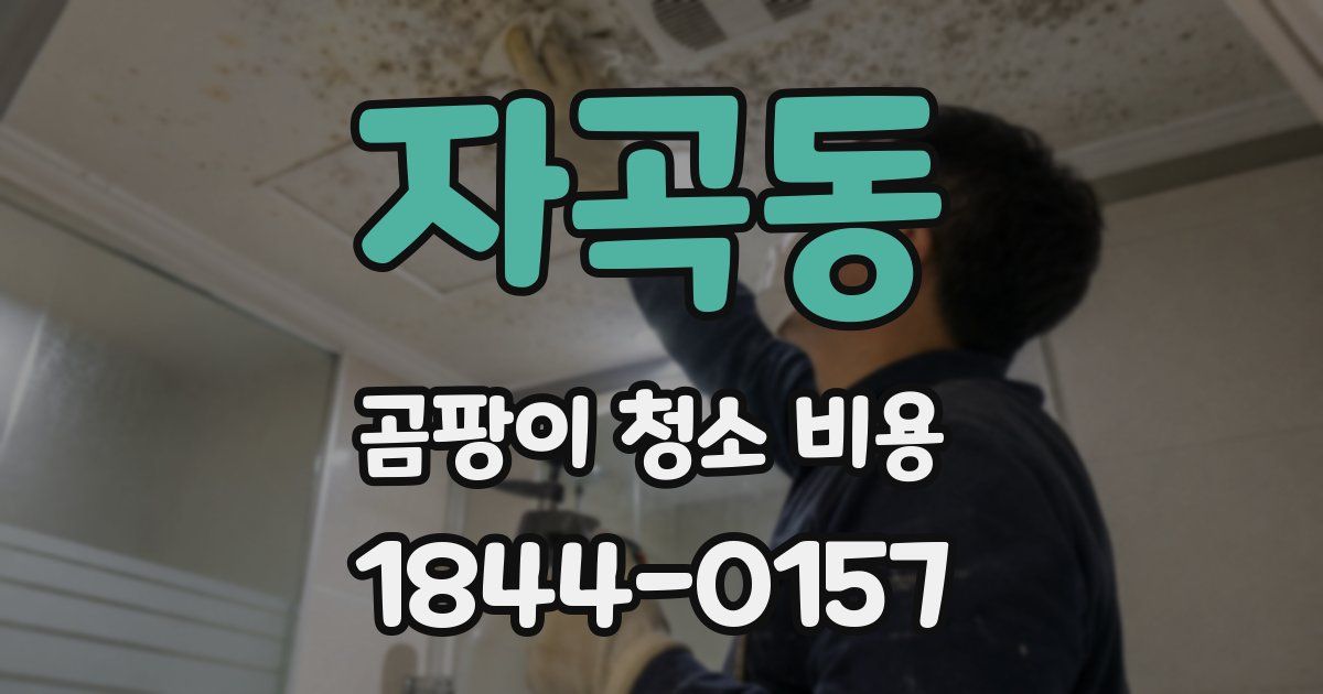 자곡동 곰팡이 청소 비용