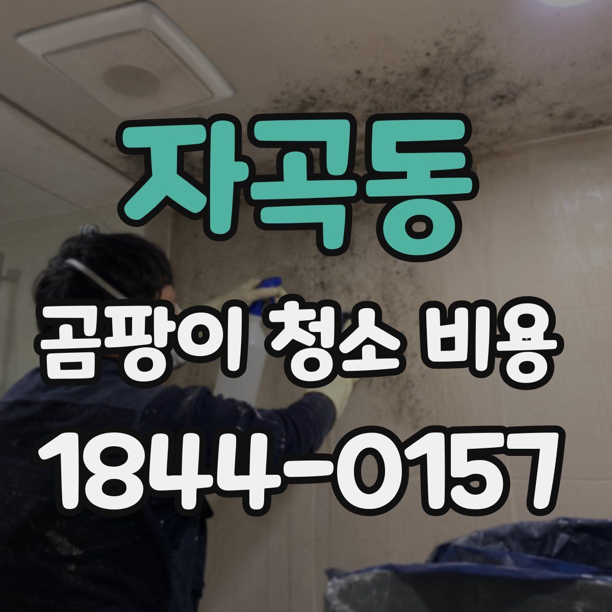 자곡동 곰팡이 청소 비용