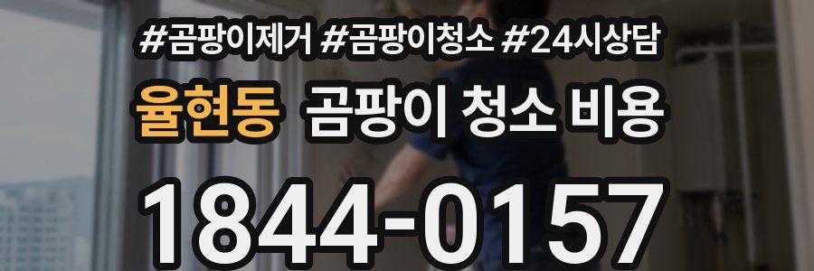 율현동 곰팡이 청소 비용