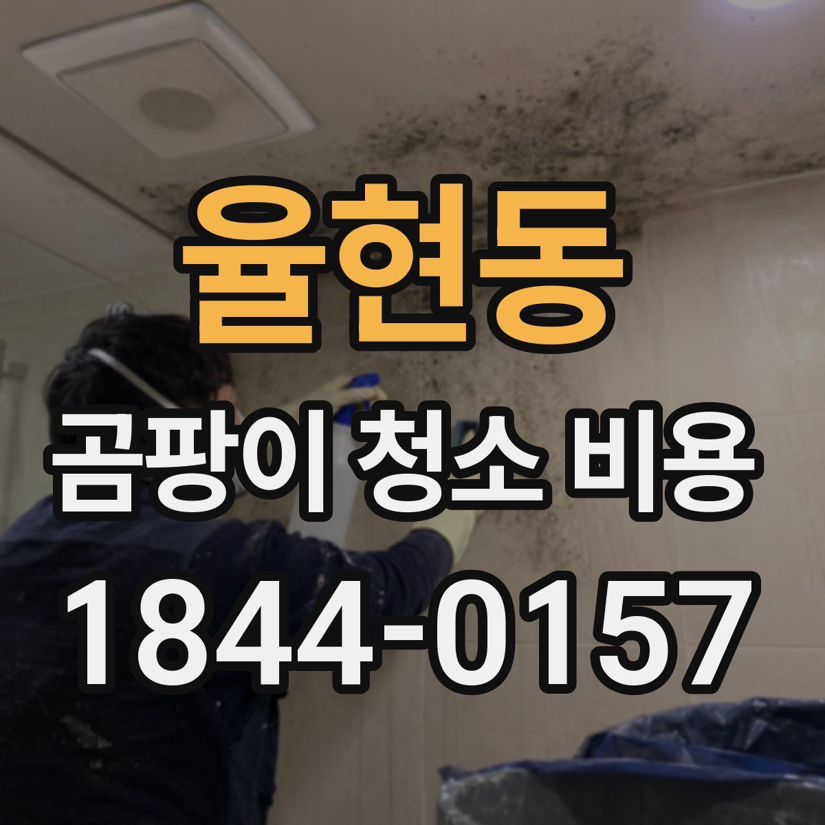 율현동 곰팡이 청소 비용