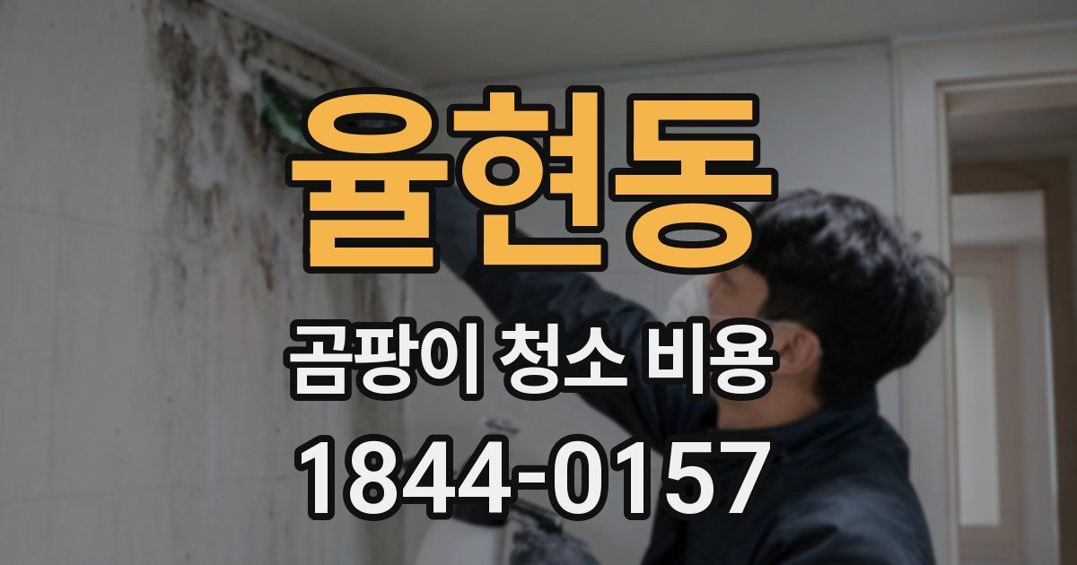 율현동 곰팡이 청소 비용