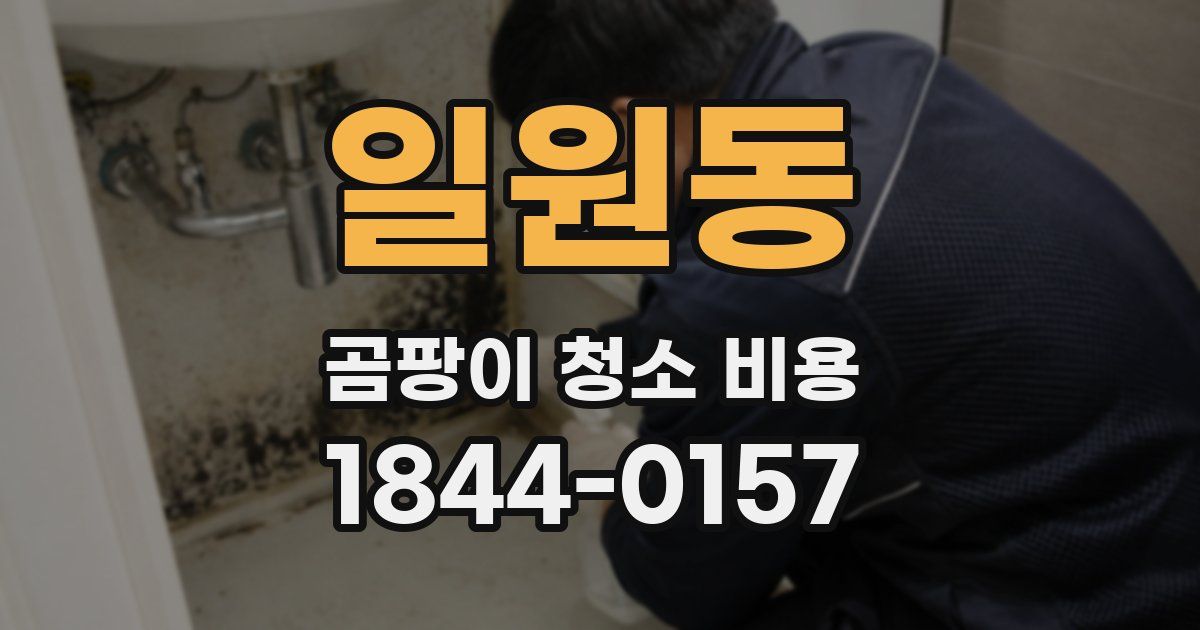 일원동 곰팡이 청소 비용