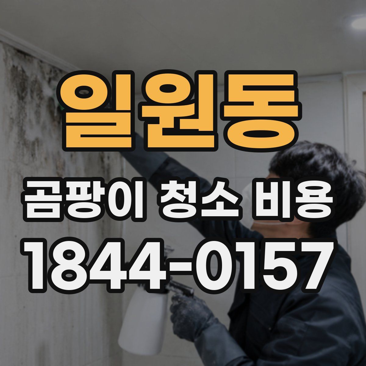 일원동 곰팡이 청소 비용