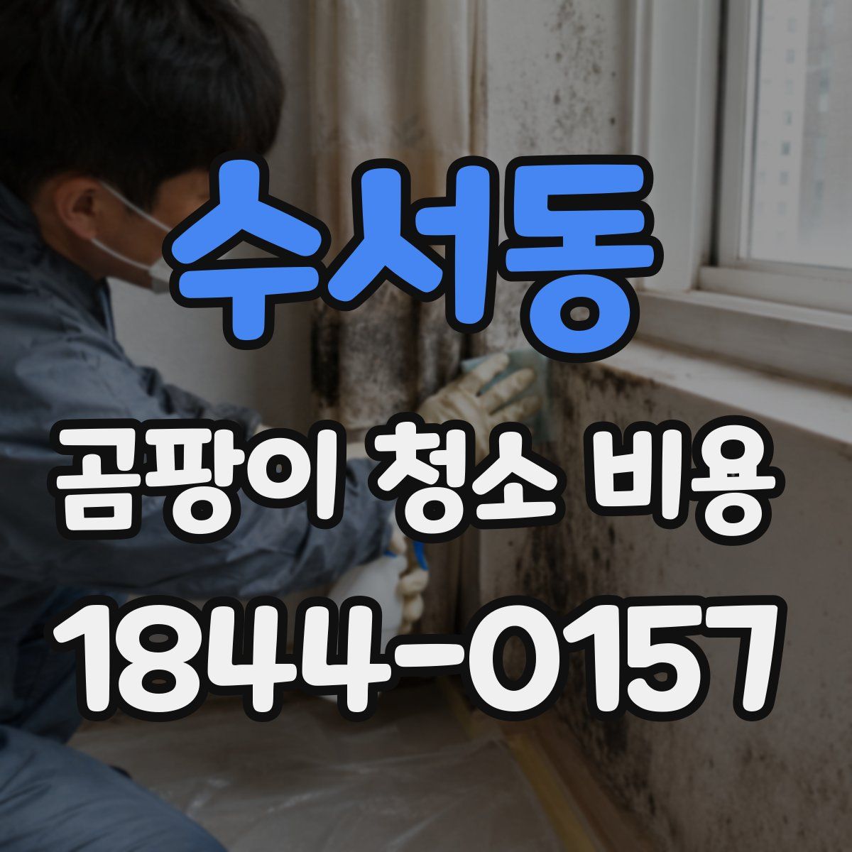 수서동 곰팡이 청소 비용