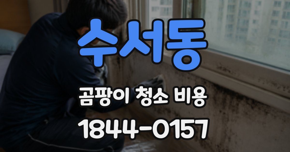 수서동 곰팡이 청소 비용