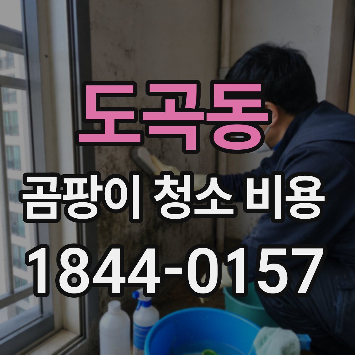 도곡동 곰팡이 청소 비용