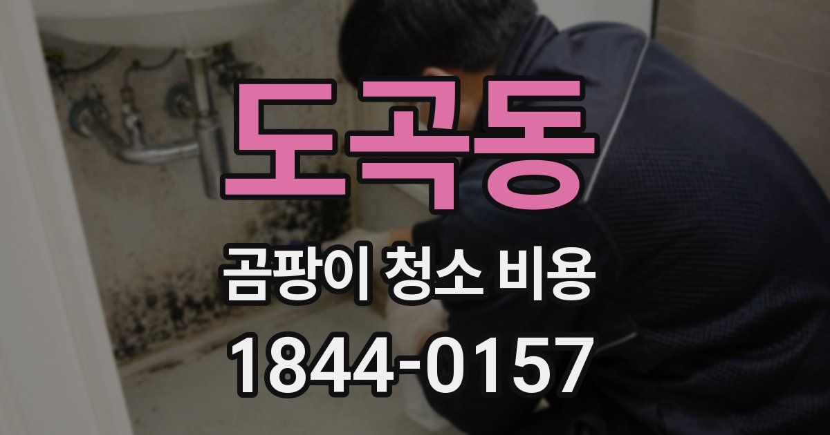 도곡동 곰팡이 청소 비용