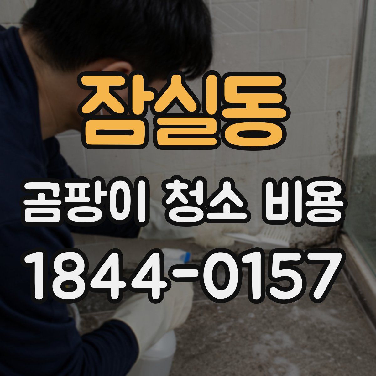 잠실동 곰팡이 청소 비용