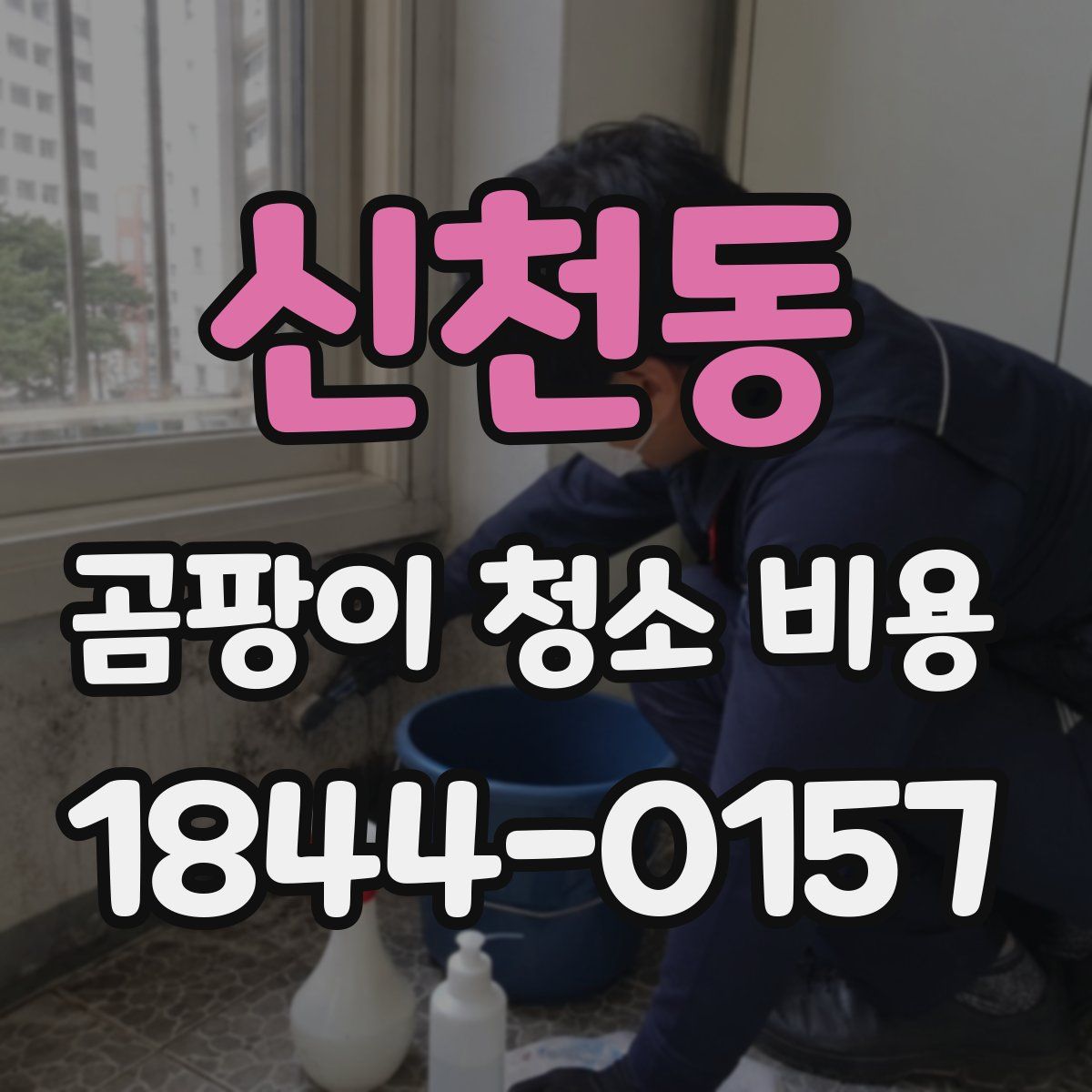 신천동 곰팡이 청소 비용